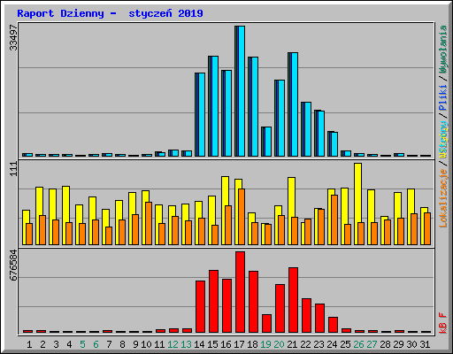 Raport Dzienny -  stycze� 2019