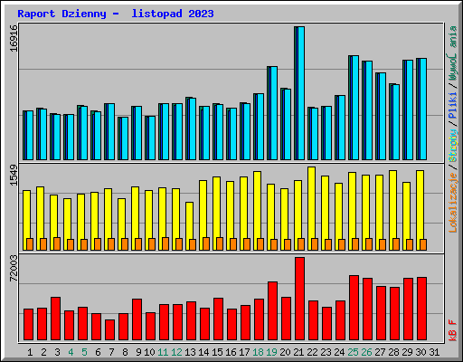 Raport Dzienny -  listopad 2023