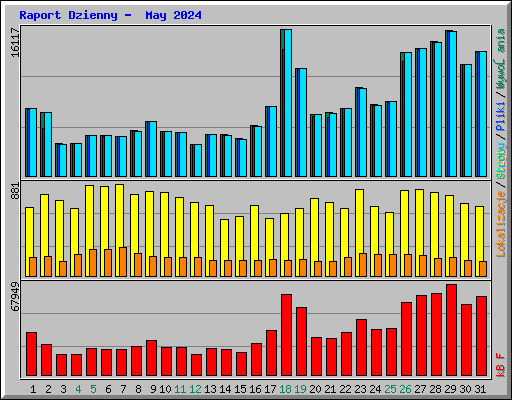 Raport Dzienny -  May 2024