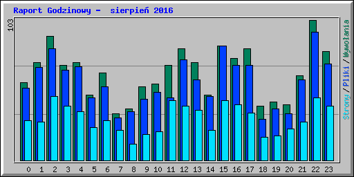 Raport Godzinowy -  sierpie� 2016