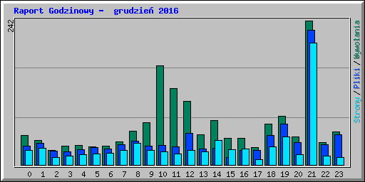 Raport Godzinowy -  grudzie� 2016