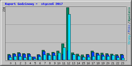 Raport Godzinowy -  stycze� 2017