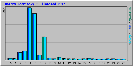 Raport Godzinowy -  listopad 2017