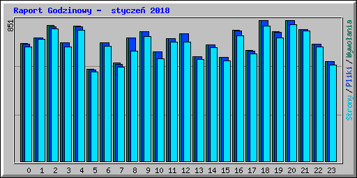 Raport Godzinowy -  stycze� 2018