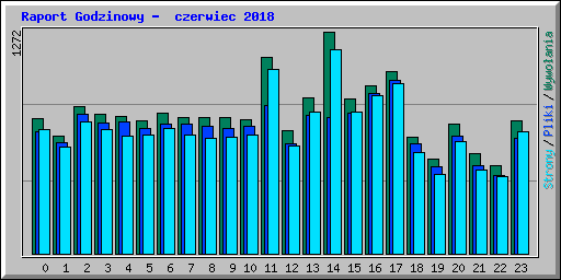Raport Godzinowy -  czerwiec 2018
