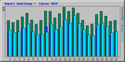 Raport Godzinowy -  lipiec 2018