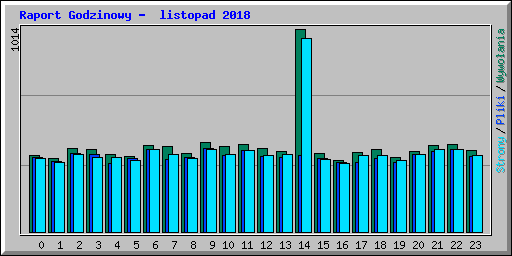 Raport Godzinowy -  listopad 2018