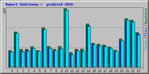 Raport Godzinowy -  grudzie� 2018