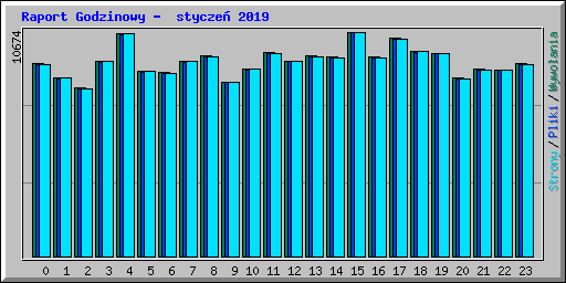 Raport Godzinowy -  stycze� 2019