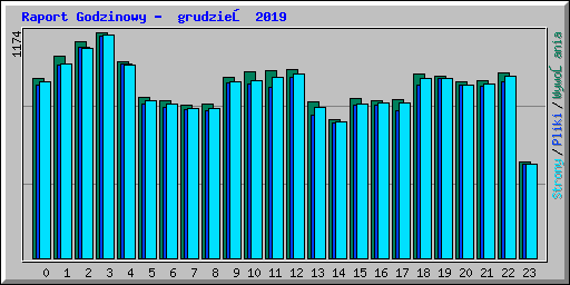 Raport Godzinowy -  grudzień 2019