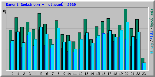 Raport Godzinowy -  styczeń 2020