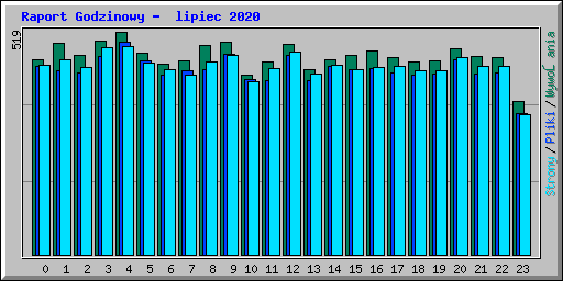 Raport Godzinowy -  lipiec 2020