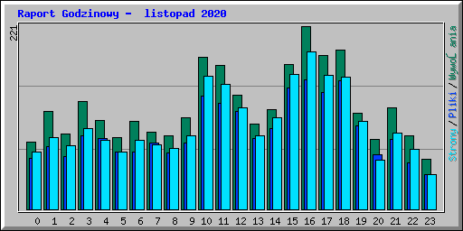 Raport Godzinowy -  listopad 2020