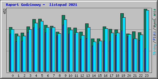 Raport Godzinowy -  listopad 2021