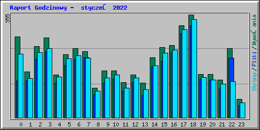Raport Godzinowy -  styczeń 2022