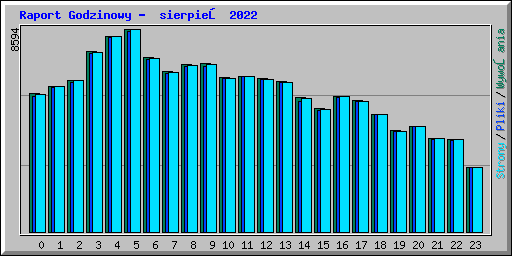 Raport Godzinowy -  sierpień 2022
