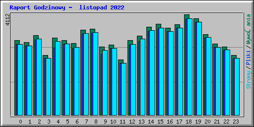 Raport Godzinowy -  listopad 2022