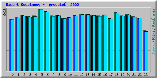 Raport Godzinowy -  grudzień 2022