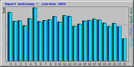 Raport Godzinowy -  czerwiec 2023