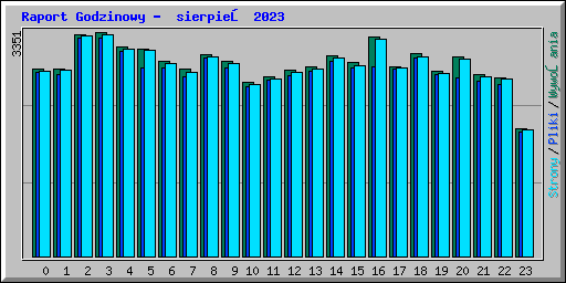Raport Godzinowy -  sierpień 2023