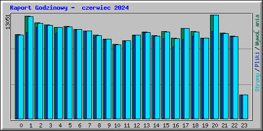 Raport Godzinowy -  czerwiec 2024