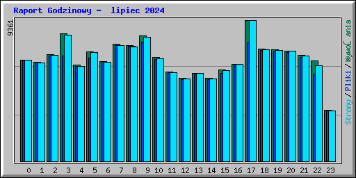 Raport Godzinowy -  lipiec 2024