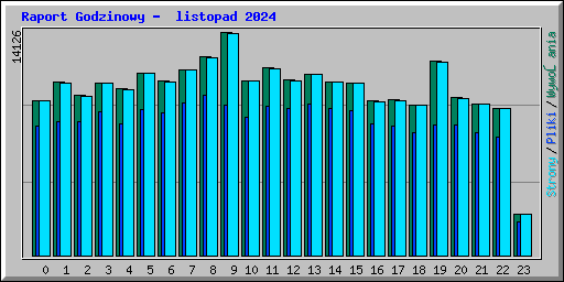 Raport Godzinowy -  listopad 2024