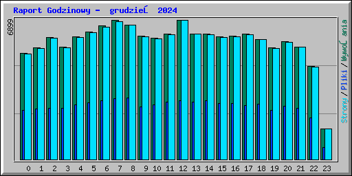 Raport Godzinowy -  grudzień 2024