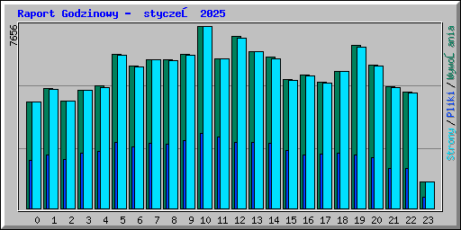 Raport Godzinowy -  styczeń 2025