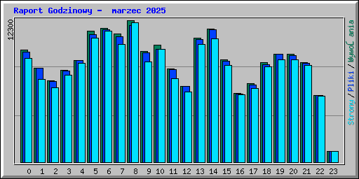 Raport Godzinowy -  marzec 2025
