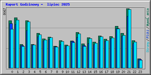 Raport Godzinowy -  lipiec 2025