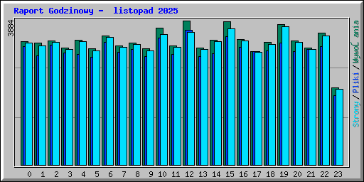 Raport Godzinowy -  listopad 2025