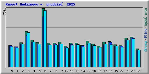 Raport Godzinowy -  grudzień 2025